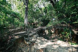 BIB: 
                            <button type="button" onclick="openModal(27799808)" class="btn btn-primary btn-sm float-right btn-popup" data-toggle="modal" data-target=".modal-high-quality">
                        <i class="fas fa-shopping-cart"></i> Add to Cart
                    </button>
                                            <button type="button" onclick="isThisMe(27799808, true)" class="btn btn-success btn-sm float-right btn-popup btn-isme hidden" data-toggle="tooltip" data-placement="bottom" title="นี่คือรูปของคุณใช่ไหม คลิกที่นี่เพื่อเอาเข้าอัลบั้ม">
                        <i class="fas fa-plus"></i> Add to album
                    </button>
                    <button type="button" onclick="isThisMe(27799808, false)" class="btn btn-warning btn-sm float-right btn-popup btn-isnotme hidden">
                        <i class="fas fa-ban"></i> Remove from album
                    </button>